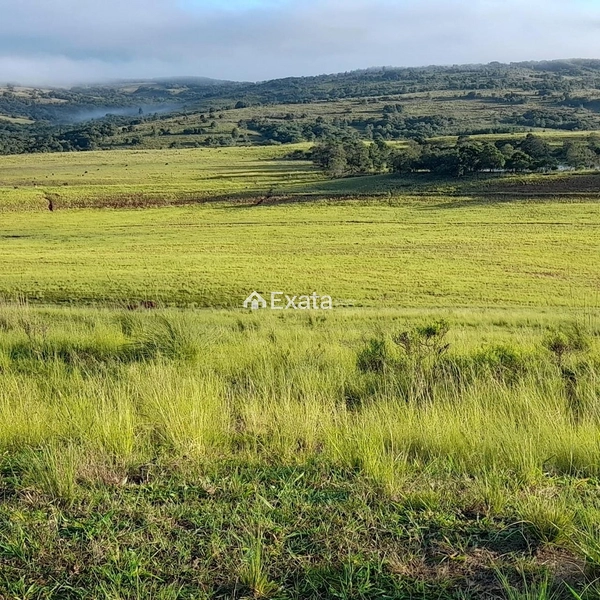 Excelente fazenda disponível para venda!: 7ª foto da galeria de imagens do imóvel