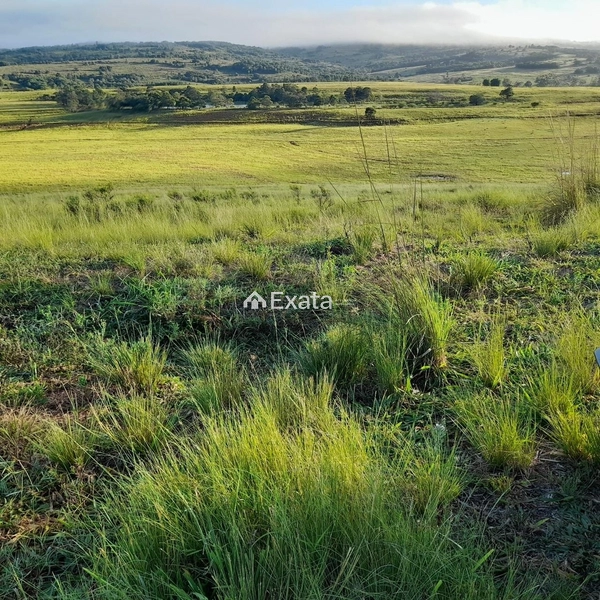 Excelente fazenda disponível para venda!: 11ª foto da galeria de imagens do imóvel