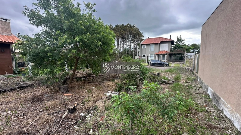 Rua Rosas: 3ª foto da galeria de imagens do imóvel