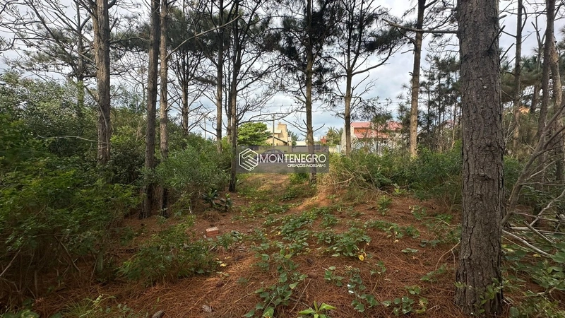 Rua das Rosas: 5ª foto da galeria de imagens do imóvel