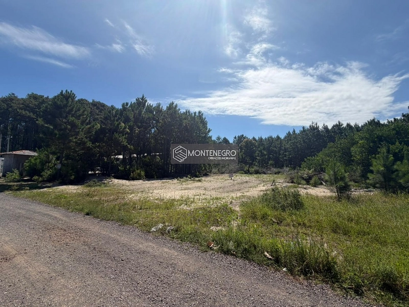 Rua Copo de Leite: 4ª foto da galeria de imagens do imóvel