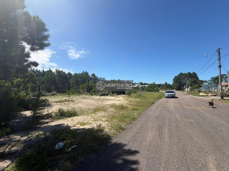 Rua Copo de Leite: 3ª foto da galeria de imagens do imóvel