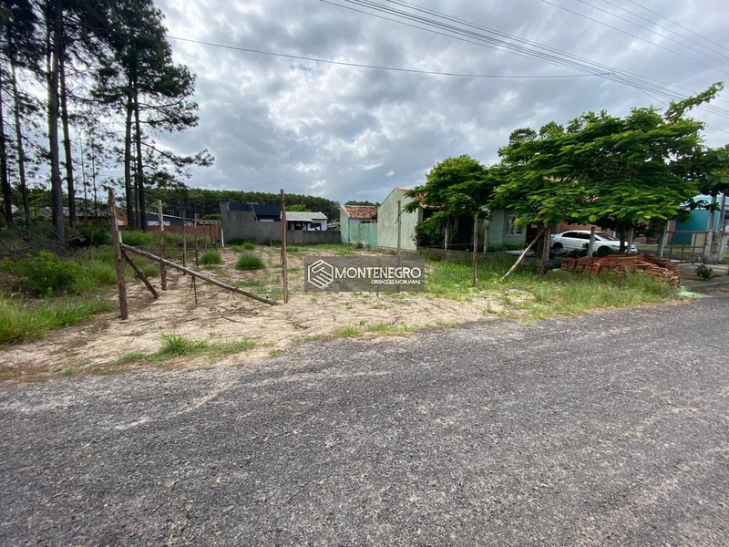 ÓTIMA OPORTUNIDADE TERRENO NA RUA BOCA DO LEÃO (EXCLUSIVO): 2ª foto da galeria de imagens do imóvel