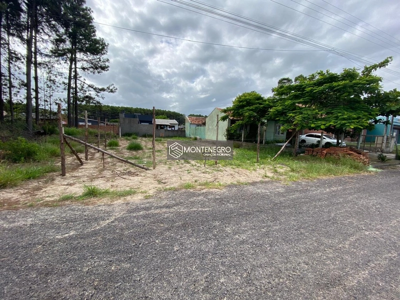 ÓTIMA OPORTUNIDADE TERRENO NA RUA BOCA DO LEÃO (EXCLUSIVO): 7ª foto da galeria de imagens do imóvel