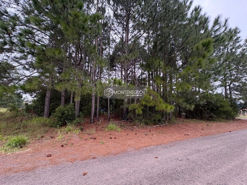 EXCELENTE OPORTUNIDADE!!!! TERRENO NO VILLAGE NA PRAIA CAPÃO NOVO: 4ª foto da galeria de imagens do imóvel