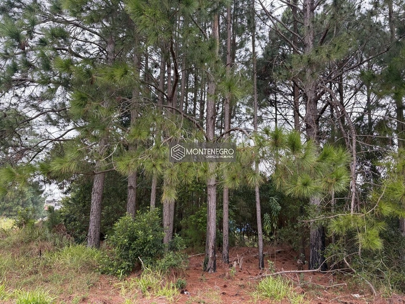 EXCELENTE OPORTUNIDADE!!!! TERRENO NO VILLAGE NA PRAIA CAPÃO NOVO: 6ª foto da galeria de imagens do imóvel
