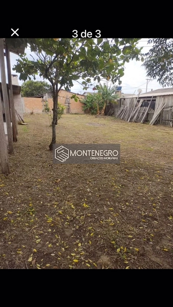 Rua dos Crisântemos: 1ª foto da galeria de imagens do imóvel