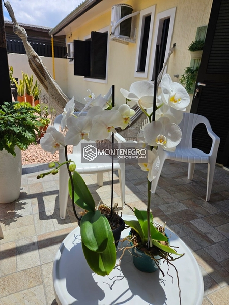 Rua das Violetas: 9ª foto da galeria de imagens do imóvel