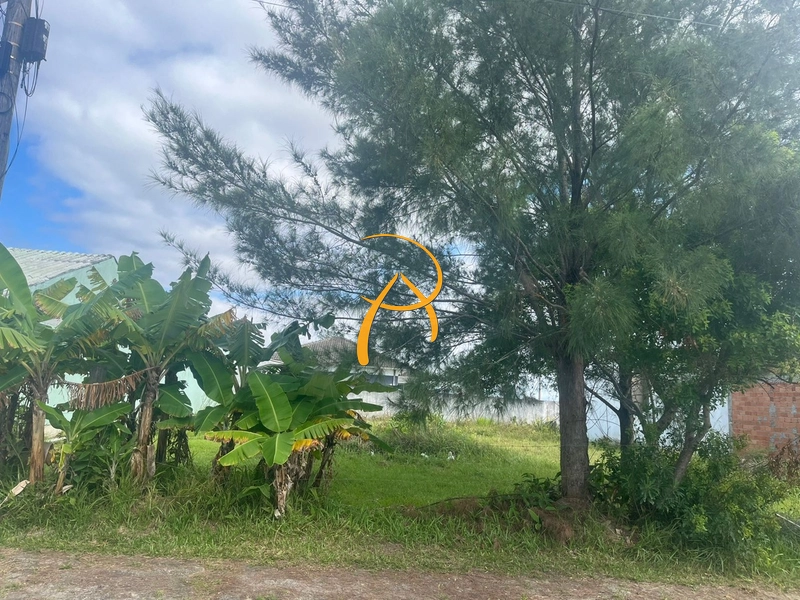 : 1ª foto da galeria de imagens do imóvel