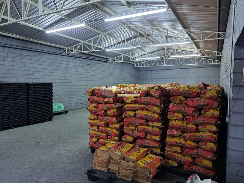 Galpão com 2 Pavimentos – 500m² | Elevador de Carga: 7ª foto da galeria de imagens do imóvel