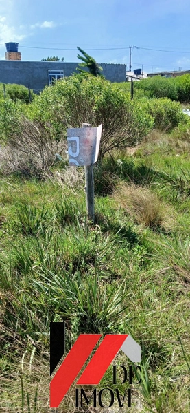 TERRENO INTEIRO: 3ª foto da galeria de imagens do imóvel