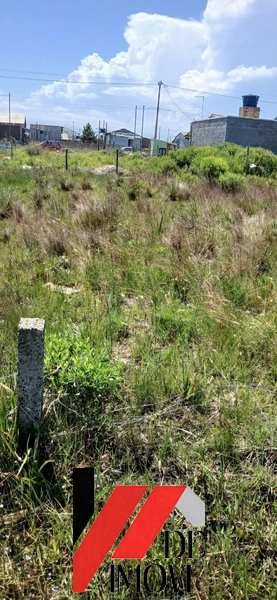 TERRENO INTEIRO: 2ª foto da galeria de imagens do imóvel