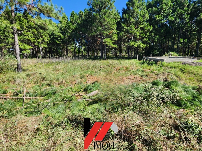 TERRENO NO VILLAGE - Capão Novo: 5ª foto da galeria de imagens do imóvel