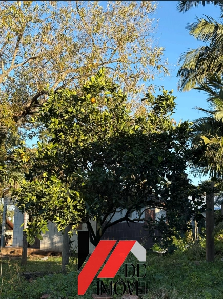 SITIO A VENDA EM MAQUINÉ!: 41ª foto da galeria de imagens do imóvel