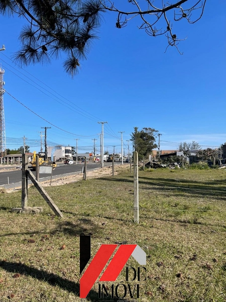 TERRENO COM DUAS CASAS GEMINADAS: 6ª foto da galeria de imagens do imóvel