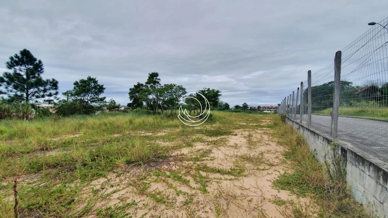 Terreno com 6000,78 m², plano. Campeche Rio Tavares: 9ª foto da galeria de imagens do imóvel