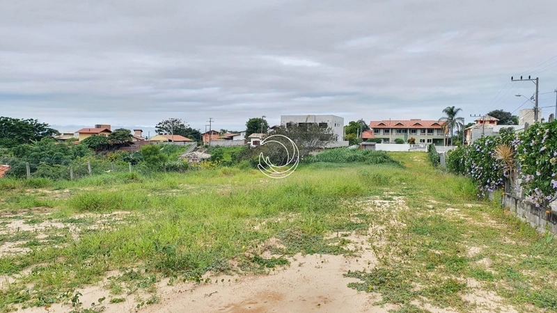 Terreno com 6000,78 m², plano. Campeche Rio Tavares: 8ª foto da galeria de imagens do imóvel