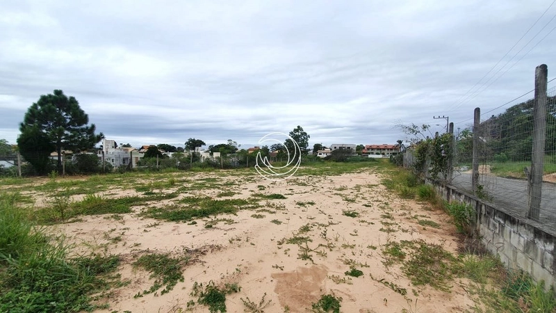 Terreno com 6000,78 m², plano. Campeche Rio Tavares: 4ª foto da galeria de imagens do imóvel