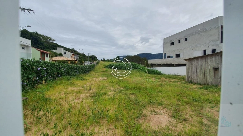 Terreno com 6000,78 m², plano. Campeche Rio Tavares: 7ª foto da galeria de imagens do imóvel