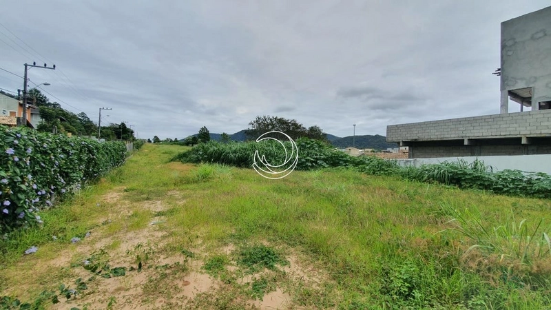Terreno com 6000,78 m², plano. Campeche Rio Tavares: 6ª foto da galeria de imagens do imóvel