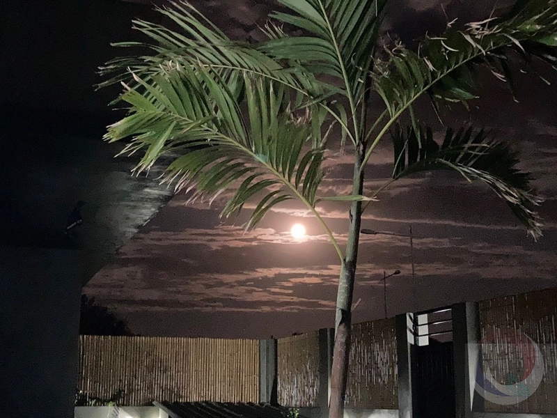 Uma casa incrível em uma localização fantástica no Rio Tavares.: 1ª foto da galeria de imagens do imóvel
