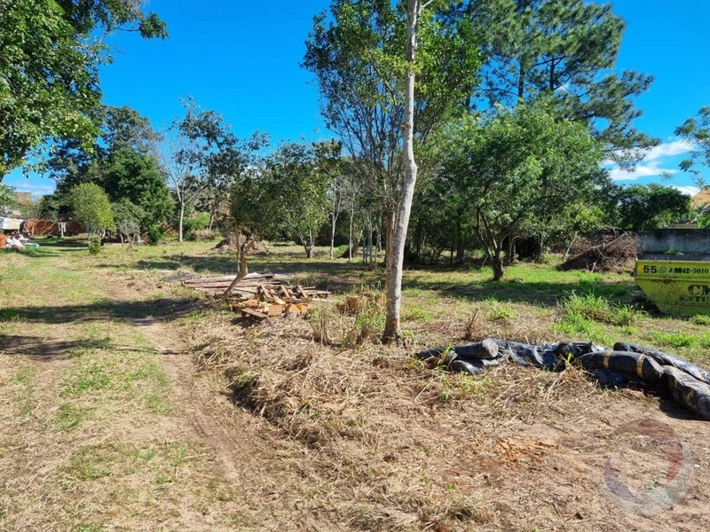 Ótimo Terreno bem localizado no Campeche: 2ª foto da galeria de imagens do imóvel