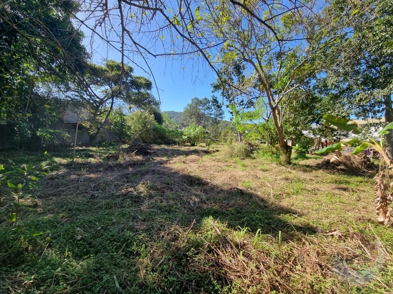 Ótimo Terreno bem localizado no Campeche: 1ª foto da galeria de imagens do imóvel