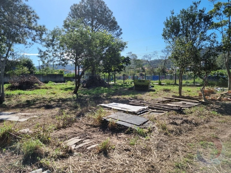 Ótimo Terreno bem localizado no Campeche: 4ª foto da galeria de imagens do imóvel