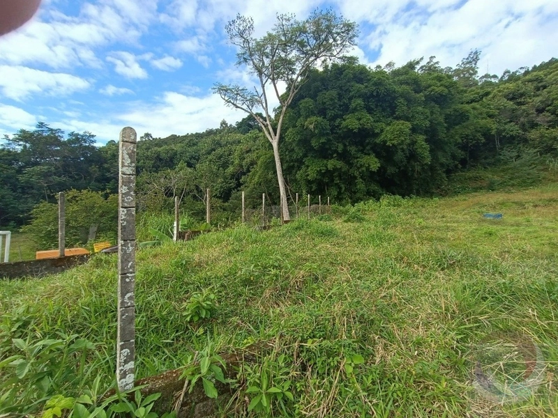 Lote/Terreno para venda possui 1086 m² em Jurerê - Florianópolis: 13ª foto da galeria de imagens do imóvel