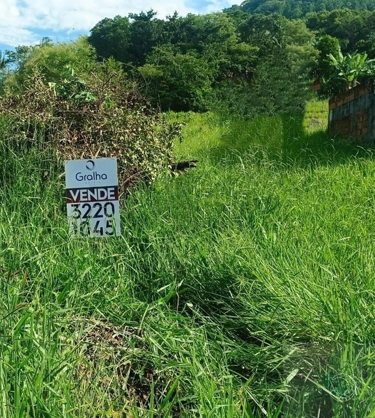 Lote/Terreno para venda possui 1086 m² em Jurerê - Florianópolis: 17ª foto da galeria de imagens do imóvel