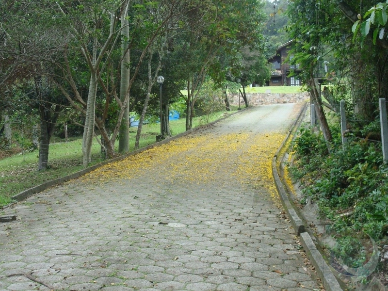 Terreno com vista panorâmica parao mar Jurerê: 8ª foto da galeria de imagens do imóvel