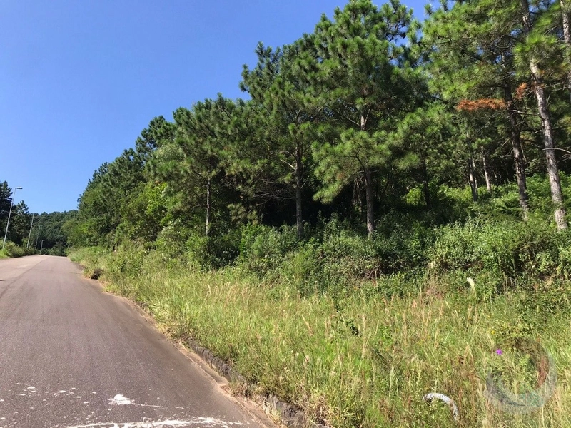 Terreno com 722,50m² no Itacorubi: 4ª foto da galeria de imagens do imóvel