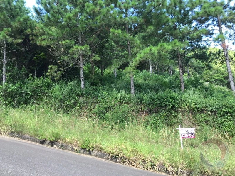 Terreno com 722,50m² no Itacorubi: 1ª foto da galeria de imagens do imóvel