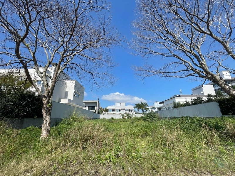 Terreno à venda em Jurerê Internacional, Florianópolis: 2ª foto da galeria de imagens do imóvel