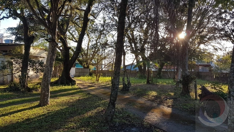 Terreno à venda em Florianópolis, João Paulo: 4ª foto da galeria de imagens do imóvel