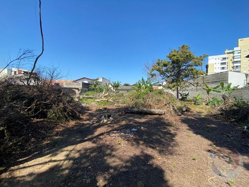 Lote/Terreno para venda com 1455 metros quadrados em Saco dos Limões: 1ª foto da galeria de imagens do imóvel