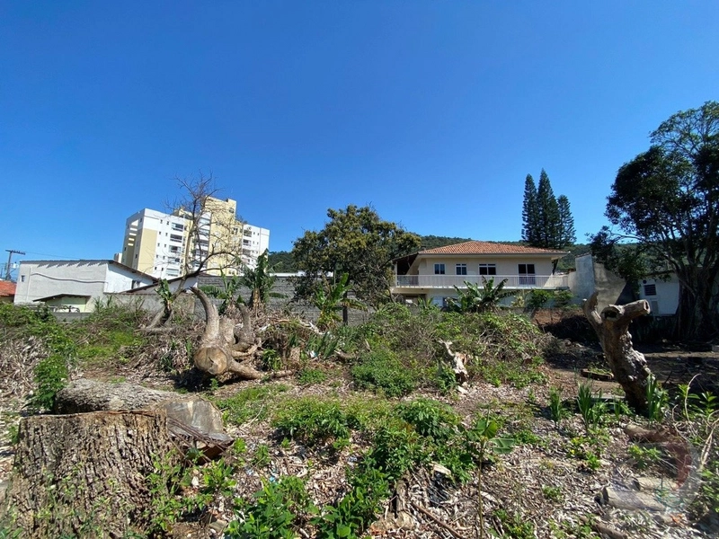 Lote/Terreno para venda com 1455 metros quadrados em Saco dos Limões: 10ª foto da galeria de imagens do imóvel