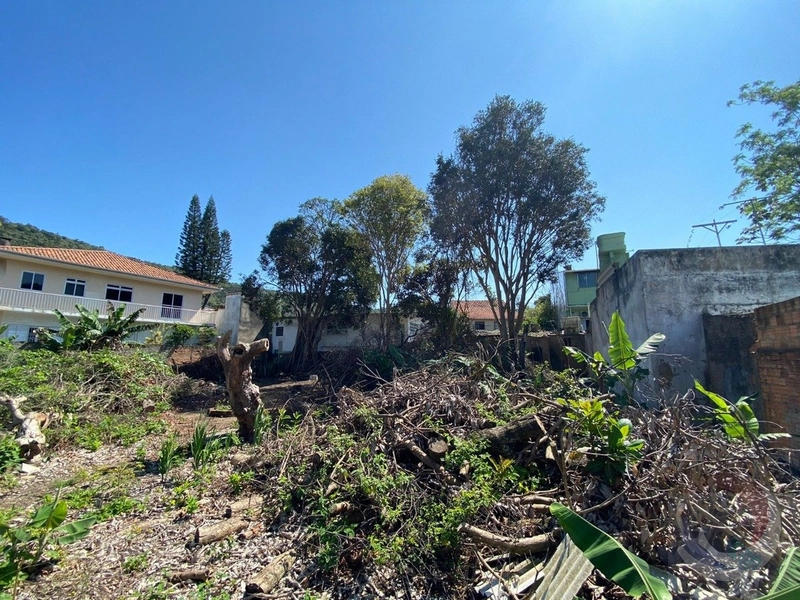 Lote/Terreno para venda com 1455 metros quadrados em Saco dos Limões: 11ª foto da galeria de imagens do imóvel