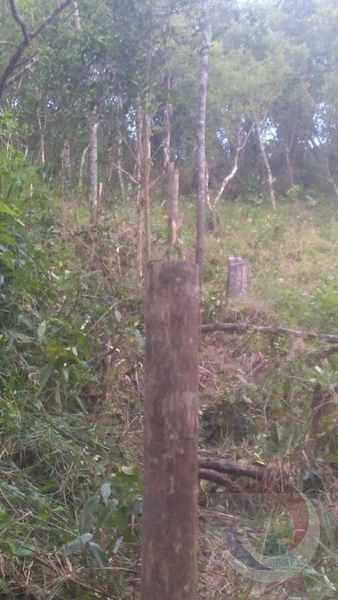 Terreno à venda em Florianópolis, Bairro João Paulo: 3ª foto da galeria de imagens do imóvel