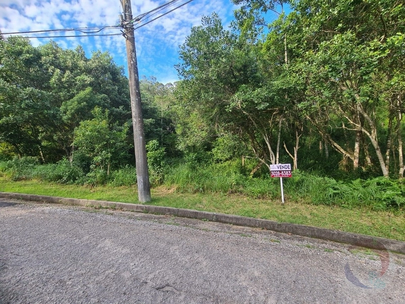 Terreno à venda em Florianópolis, Bairro João Paulo: 1ª foto da galeria de imagens do imóvel