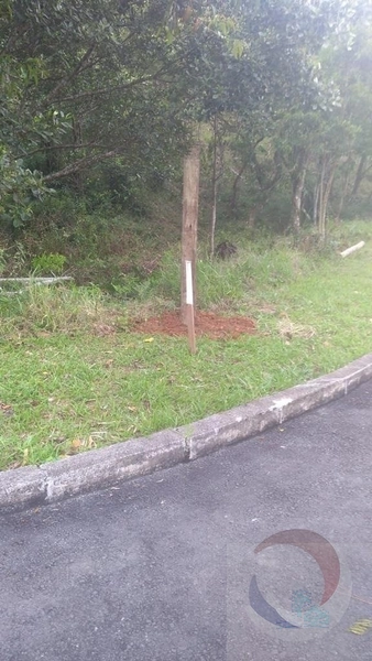 Terreno à venda em Florianópolis, Bairro João Paulo: 4ª foto da galeria de imagens do imóvel