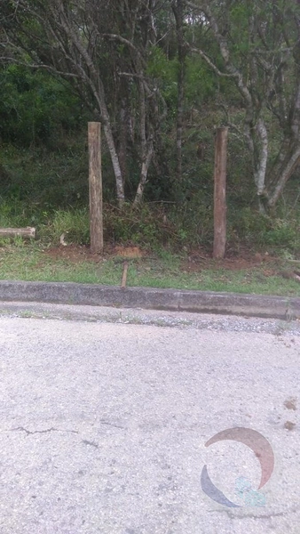 Terreno à venda em Florianópolis, Bairro João Paulo: 8ª foto da galeria de imagens do imóvel