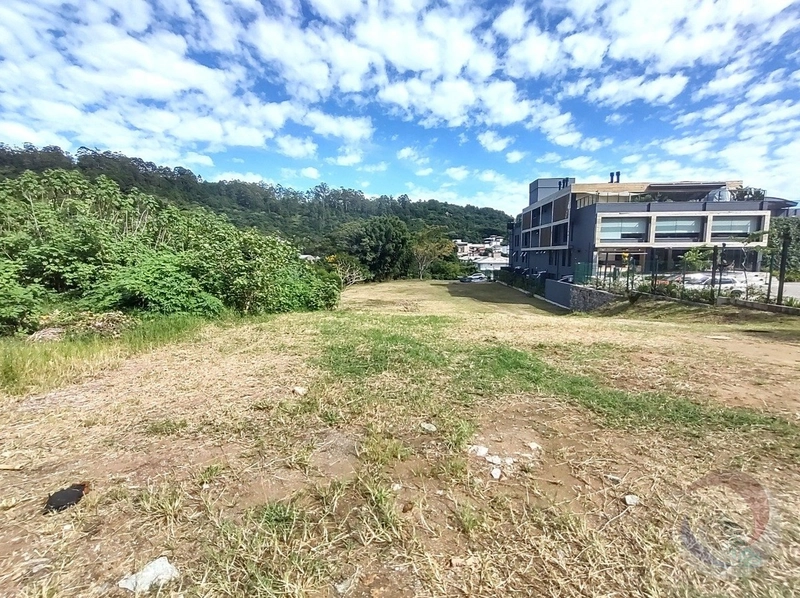 Terreno à venda em Santo Antônio De Lisboa, Florianópolis: 13ª foto da galeria de imagens do imóvel