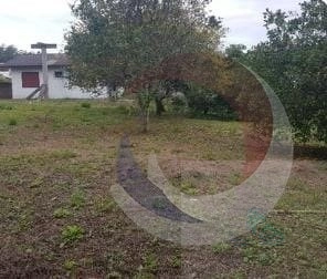 Terreno à venda em Cachoeira Do Bom Jesus: 5ª foto da galeria de imagens do imóvel