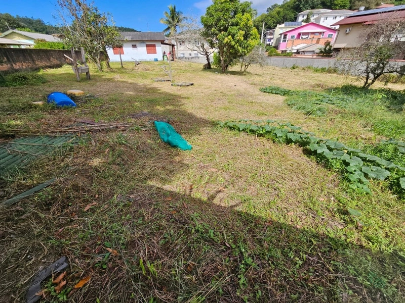 Terreno à venda em Cachoeira Do Bom Jesus: 6ª foto da galeria de imagens do imóvel