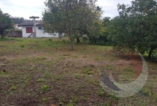 Terreno à venda em Cachoeira Do Bom Jesus: 4ª foto da galeria de imagens do imóvel