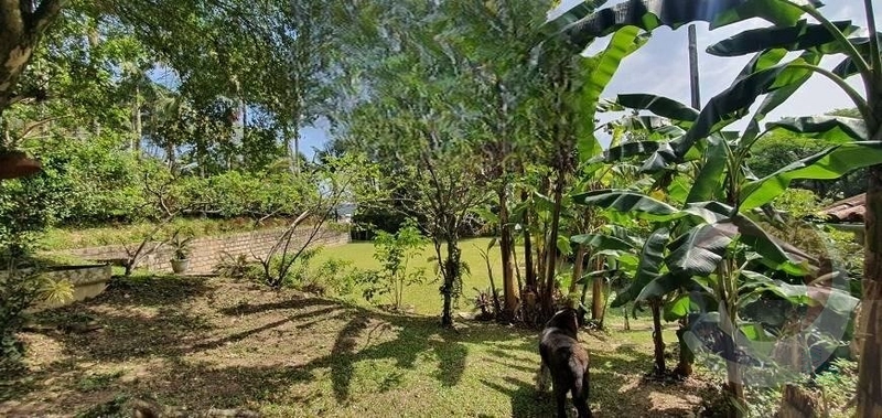 Terreno à venda em Santo Antônio De Lisboa, Florianópolis: 9ª foto da galeria de imagens do imóvel