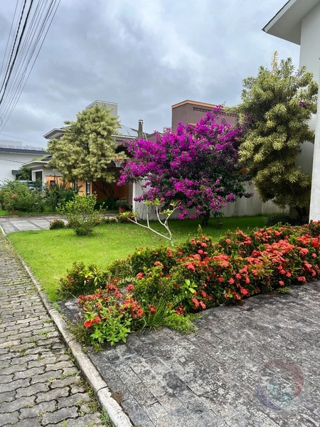 Terreno à venda em Santo Antônio De Lisboa, Florianópolis: 16ª foto da galeria de imagens do imóvel