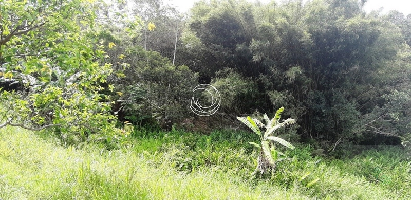 Terreno à venda em Santo Antônio De Lisboa, Florianópolis: 20ª foto da galeria de imagens do imóvel