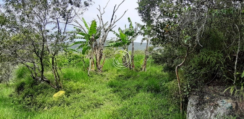 Terreno à venda em Santo Antônio De Lisboa, Florianópolis: 25ª foto da galeria de imagens do imóvel